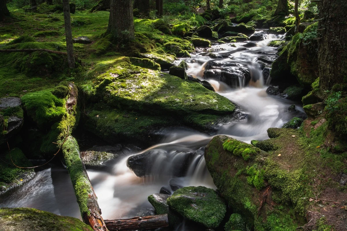 Filipohuťský potok