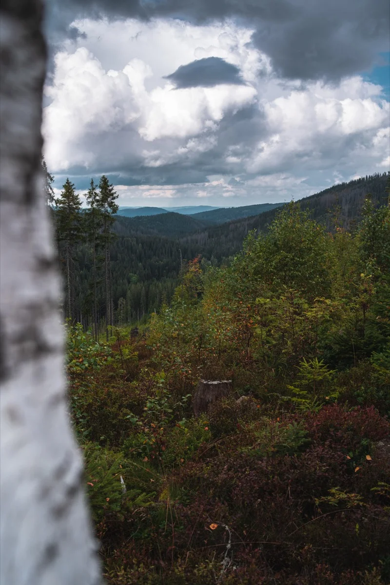 Vchynicko-Tetovský plavební kanál