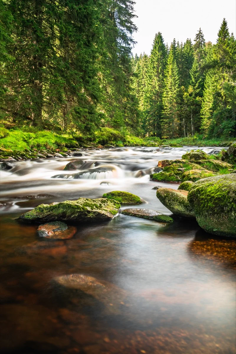 Řeka Vydra - detail