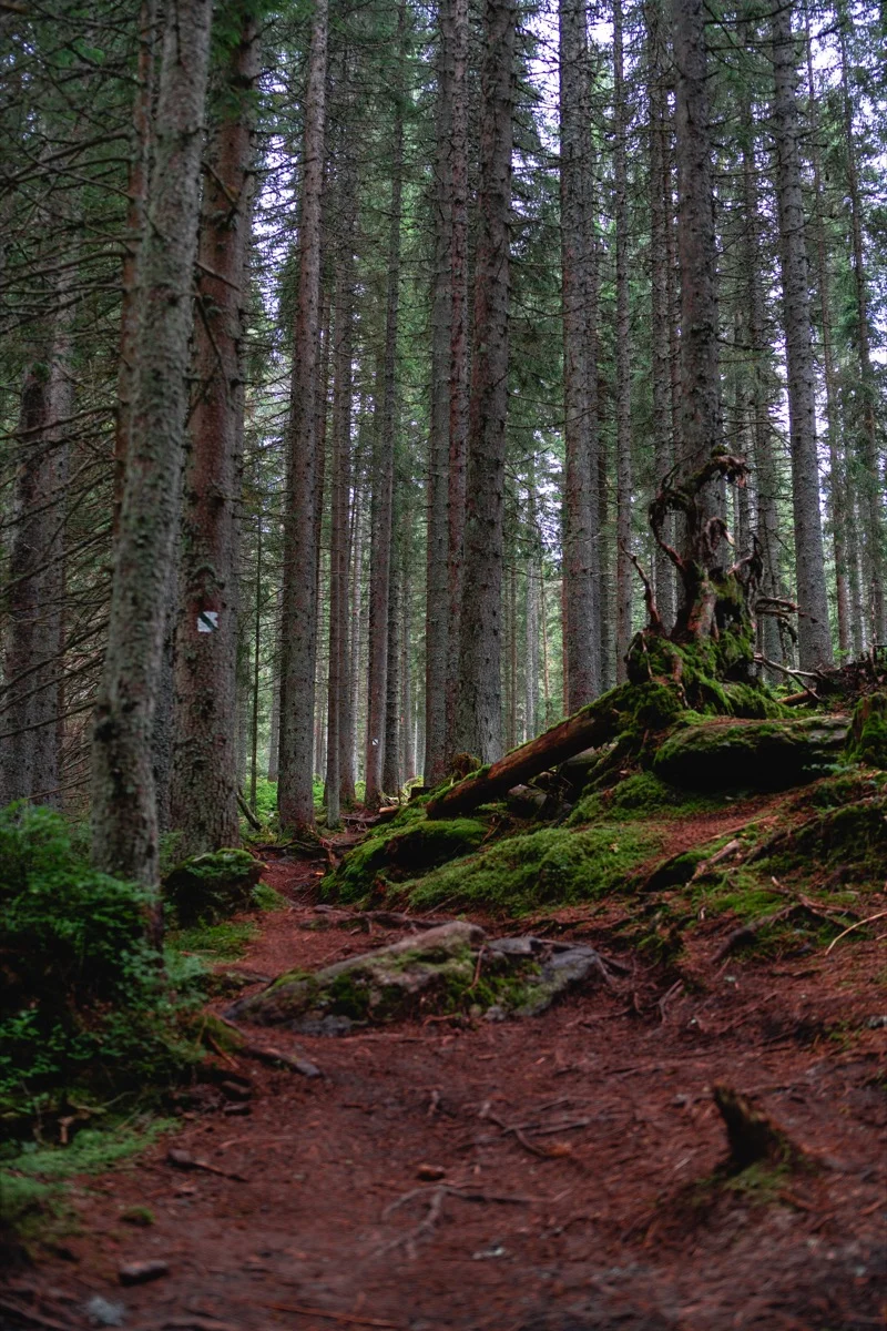 Ukázka cesty podél řeky Vydry