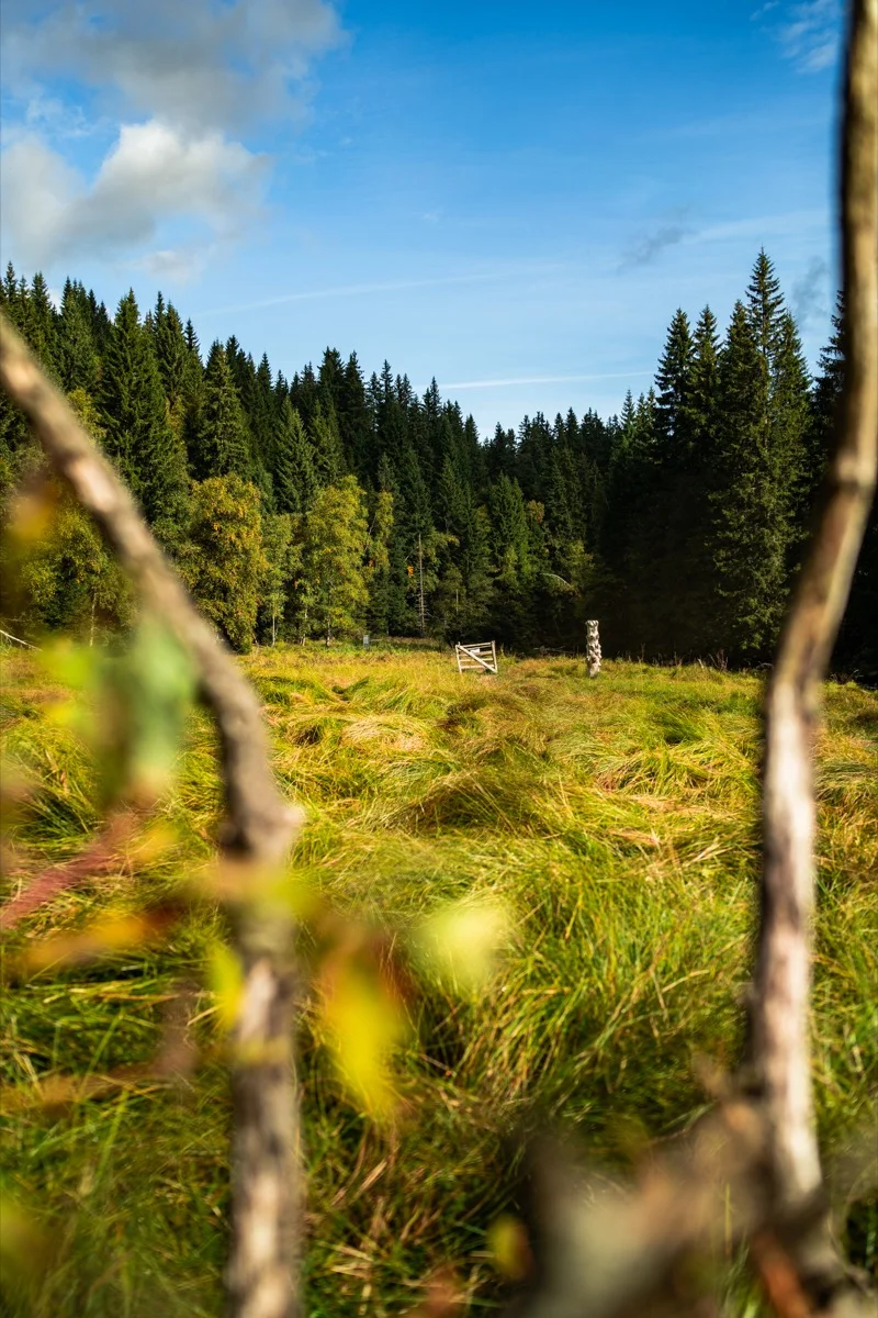 Řeka Vydra - kameny