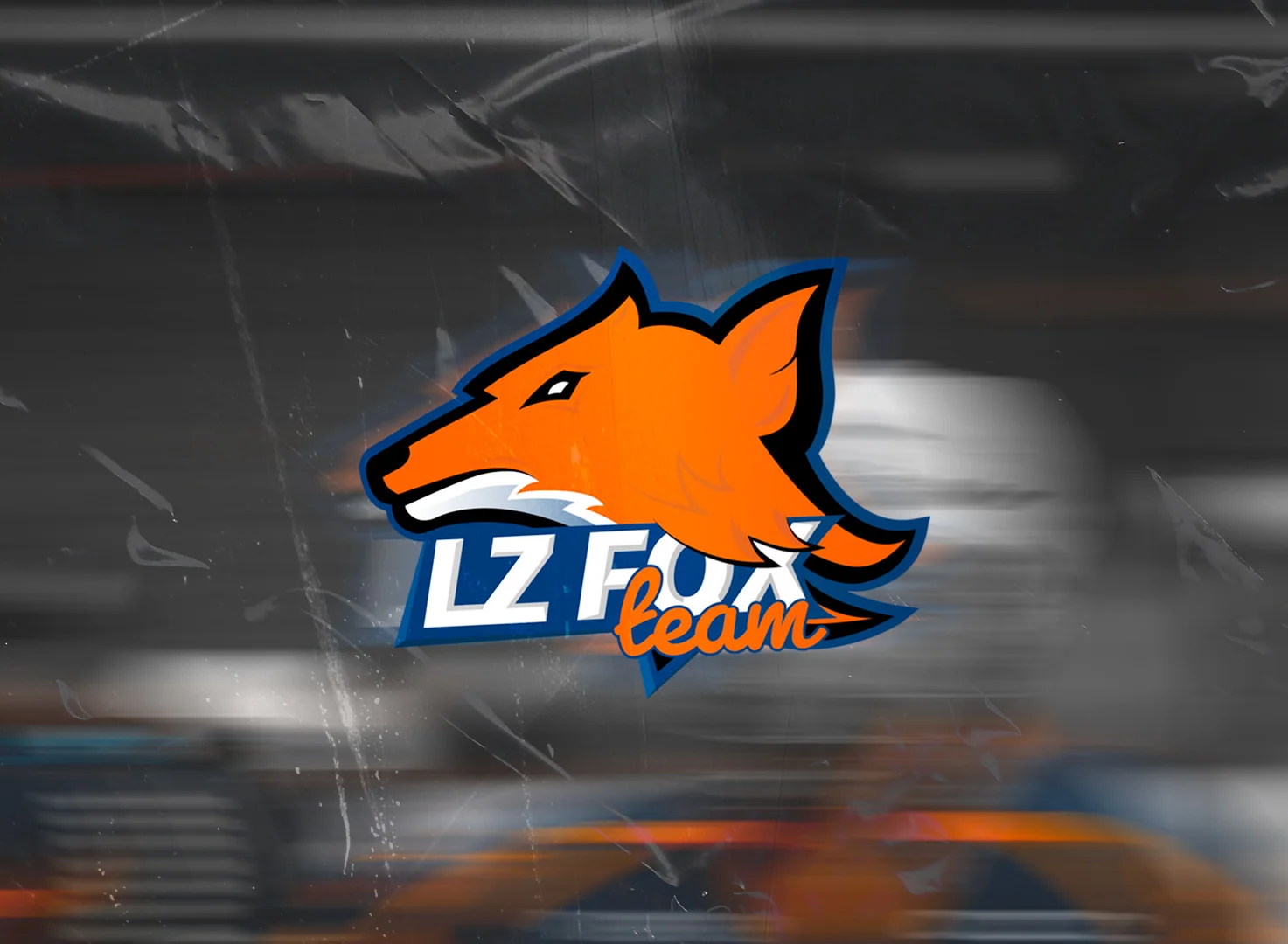 Hokejový tým LZ Fox